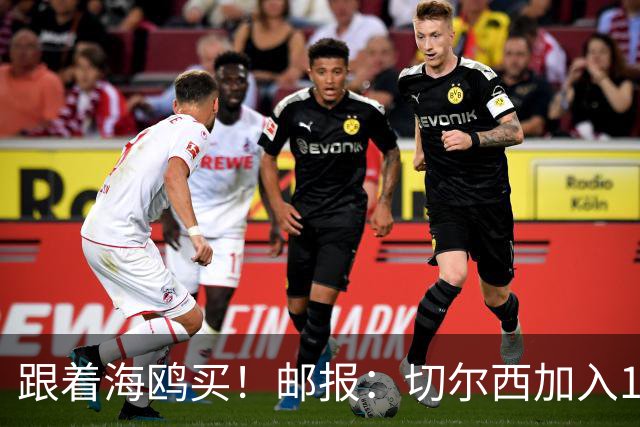 跟着海鸥买！邮报：切尔西加入18岁边锋竞价，布莱顿已报价2050镑